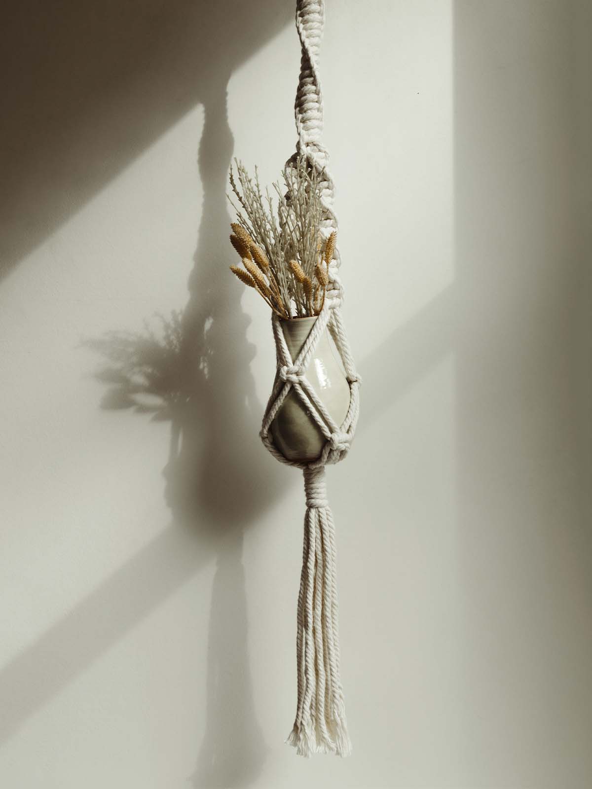 Garden, Plant Hangers, and Vases