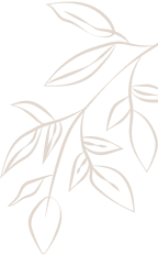 Decorative design element of leaves on a branch
